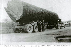 Meet your Posher, Geoff